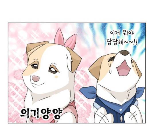 개를 낳았다 시즌2 63화 26