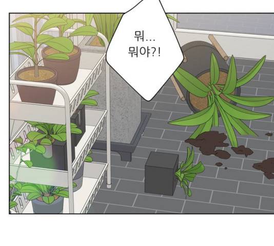 맘마미안 102화 마침 9