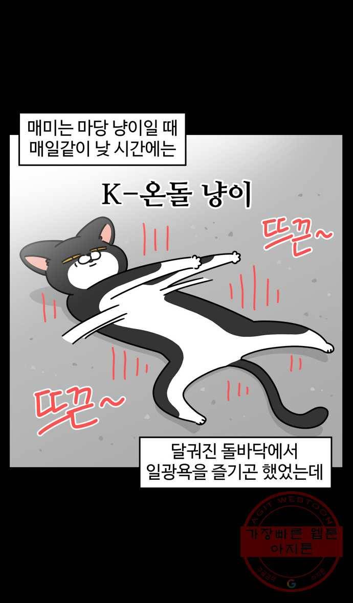 노곤하개 시즌4 62화 고양이 마당 2
