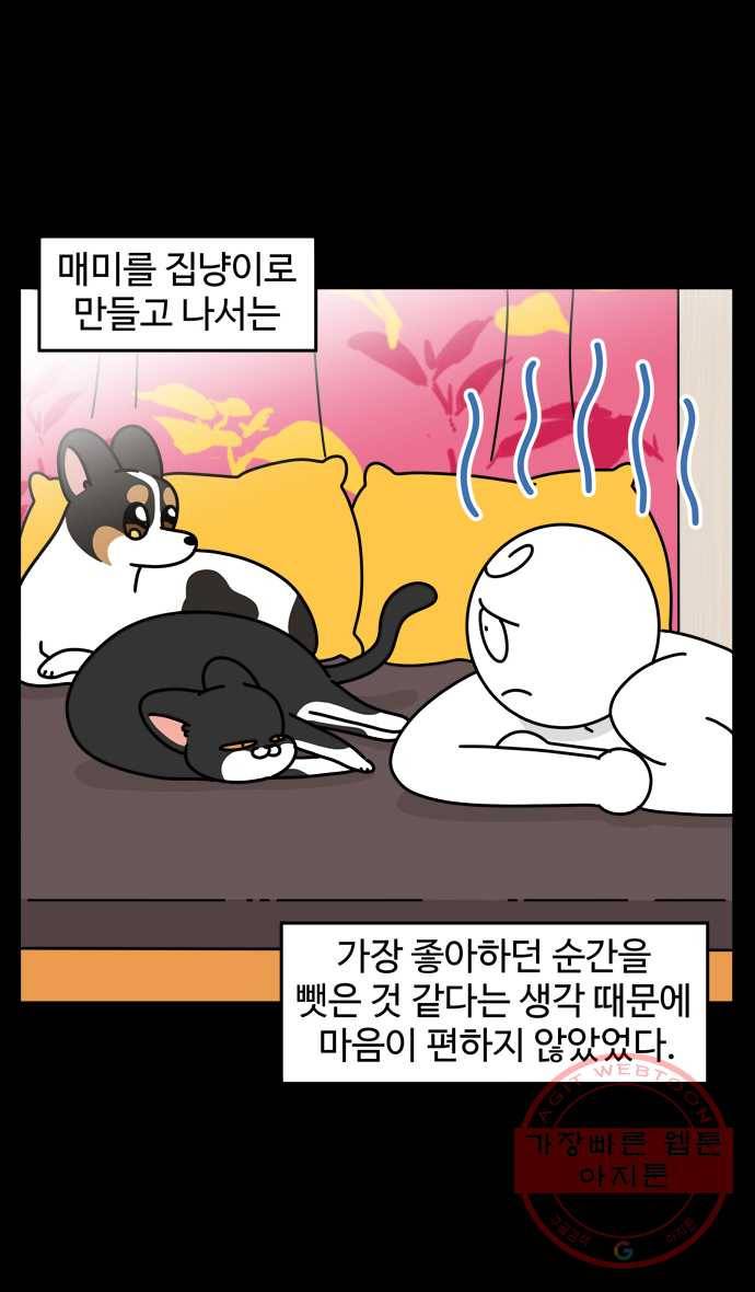 노곤하개 시즌4 62화 고양이 마당 3