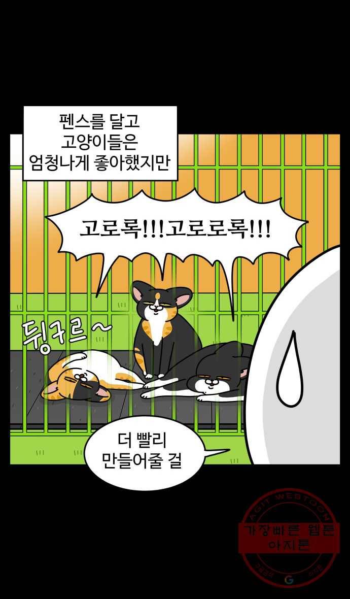 노곤하개 시즌4 62화 고양이 마당 5