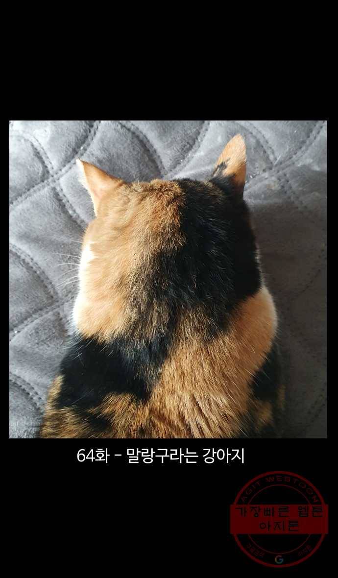 노곤하개 시즌4 64화 말랑구라는 강아지 1