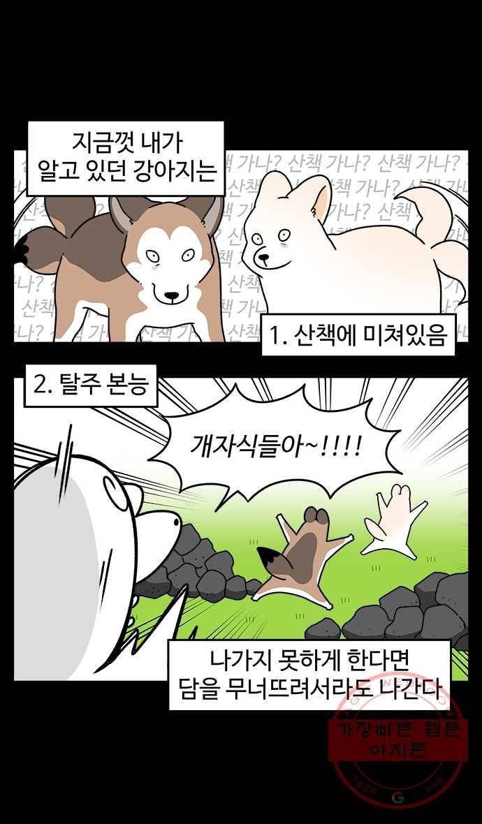 노곤하개 시즌4 64화 말랑구라는 강아지 4