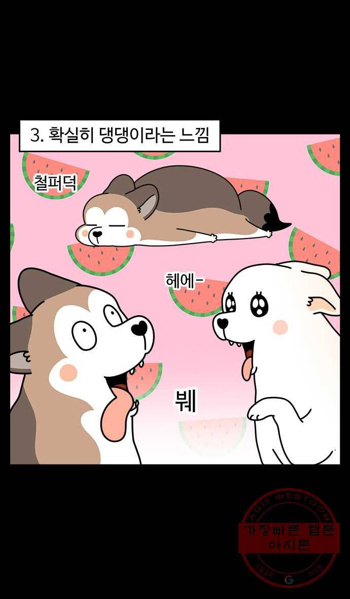 노곤하개 시즌4 64화 말랑구라는 강아지 5