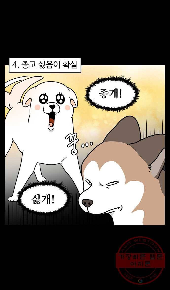 노곤하개 시즌4 64화 말랑구라는 강아지 6