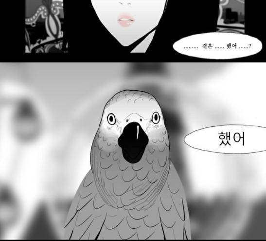 안나라수마나라 14화 52