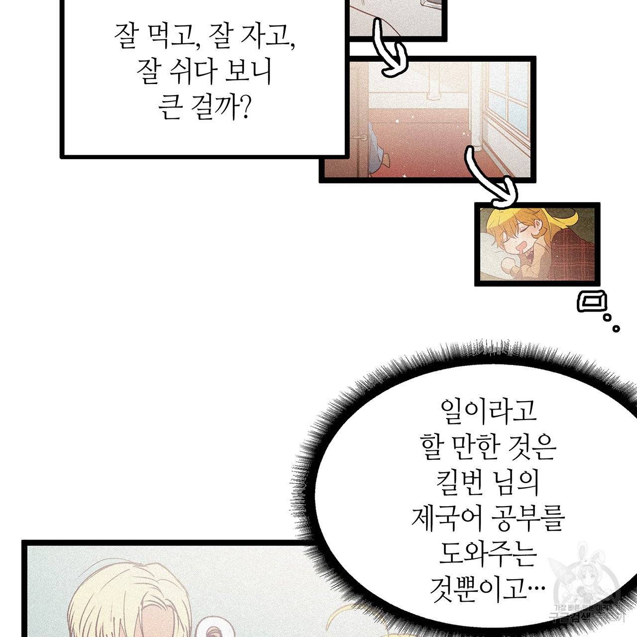 황제의 약혼녀로 산다는 것은 58화 27