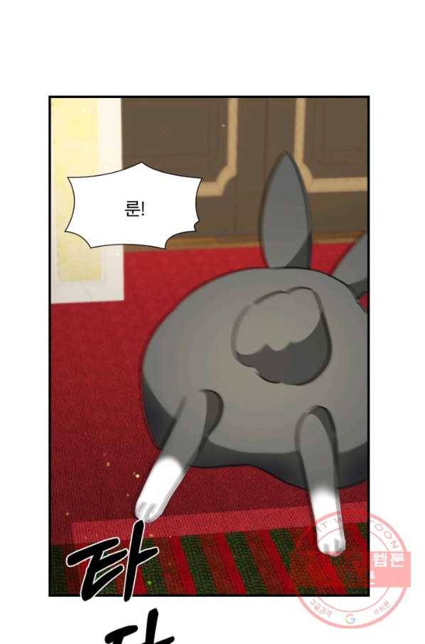 가짜 공녀님의 만렙 토끼 33화 3