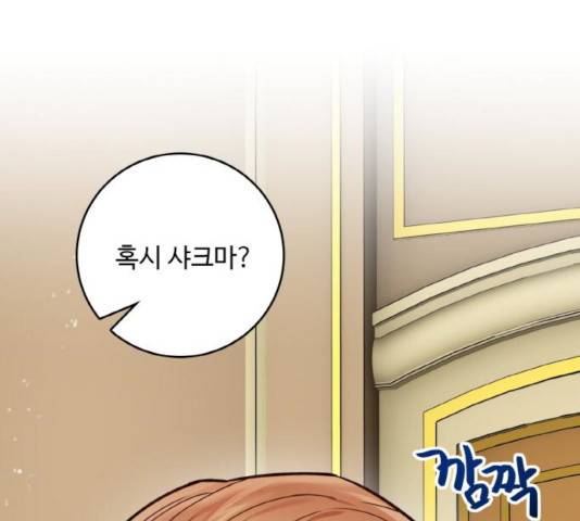마녀와 용의 신혼일기 45화 23