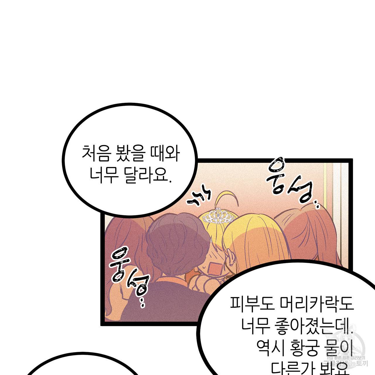 황제의 약혼녀로 산다는 것은 63화 13