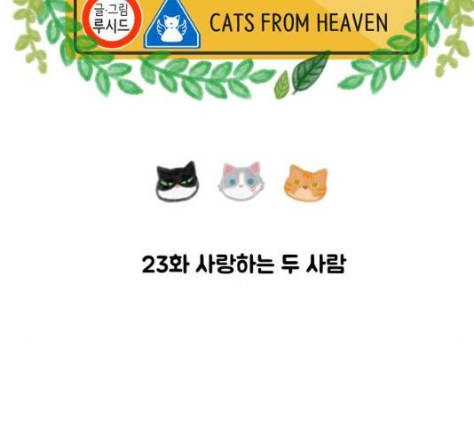 야생천사 보호구역 23화 20