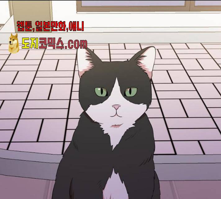 손 잡아 볼래? 44화 13