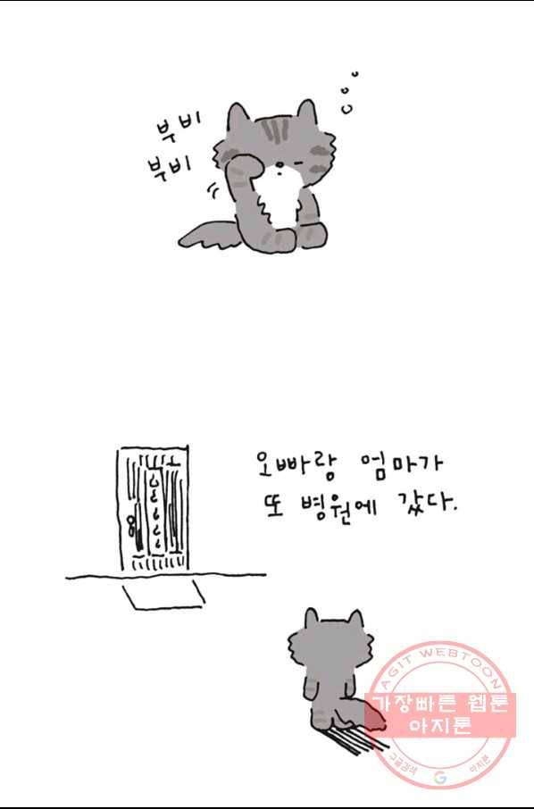 은동은동+옹동스 173화. 오빠가 병원 갔을 때 6
