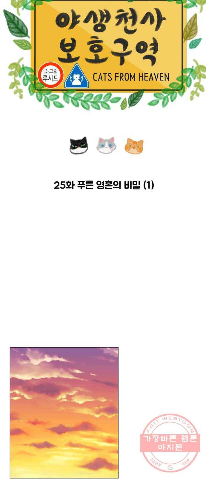 야생천사 보호구역 25화 푸른 영혼의 비밀 (1) 8