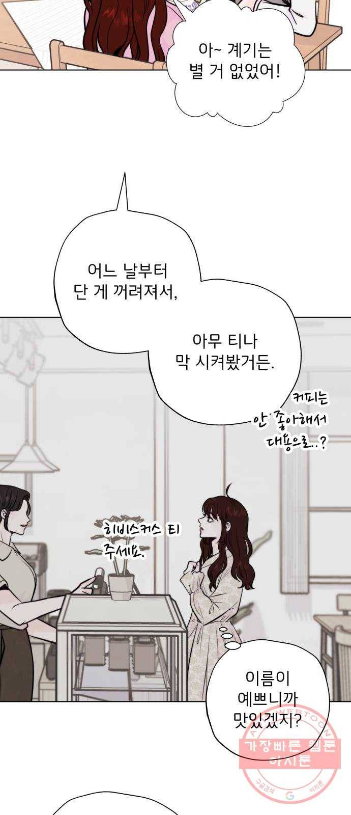 취향 소개소 05. 오후의 티파티 12