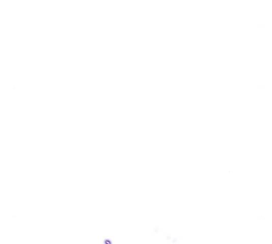 튜토리얼 탑의 고인물 73화 20