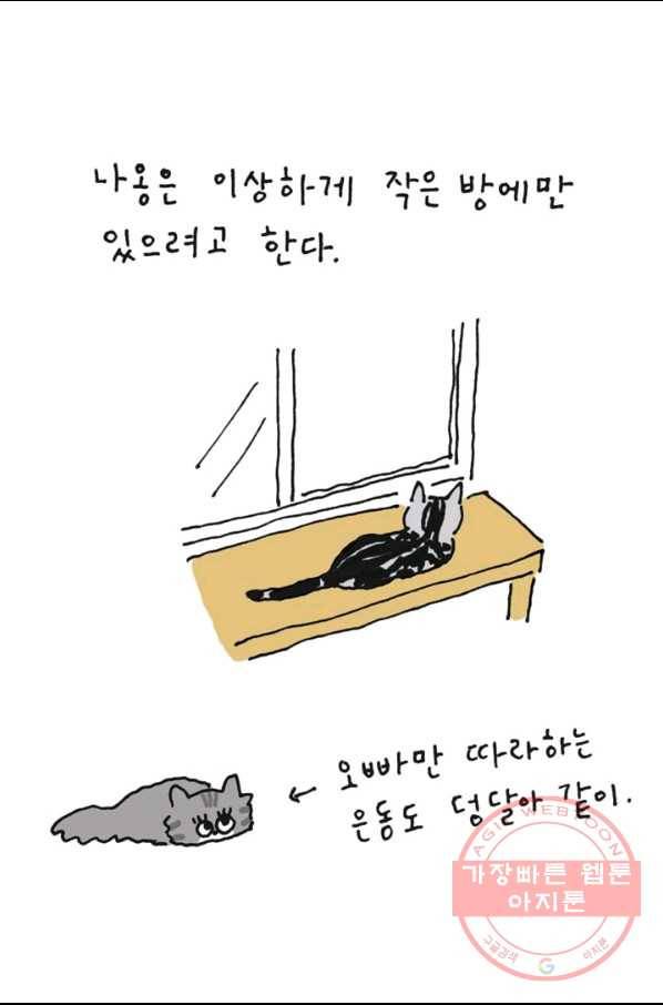 은동은동+옹동스 179화. 못 말리는 나옹 5
