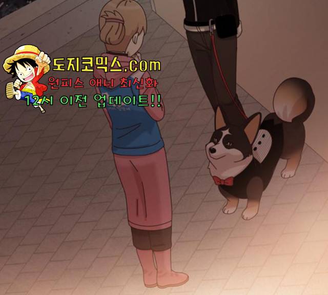 개를 낳았다 시즌2 70화 25