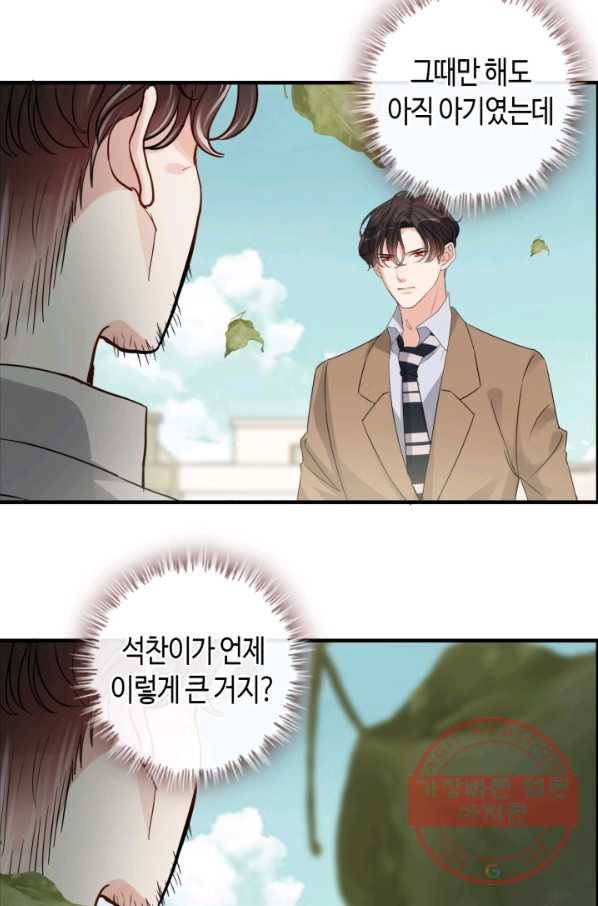 속도위반 대표님과 계약 아내 353화 10