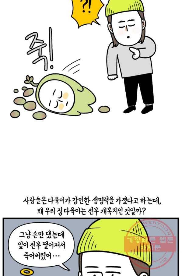 크레이지 가드너 8화 다육이 4