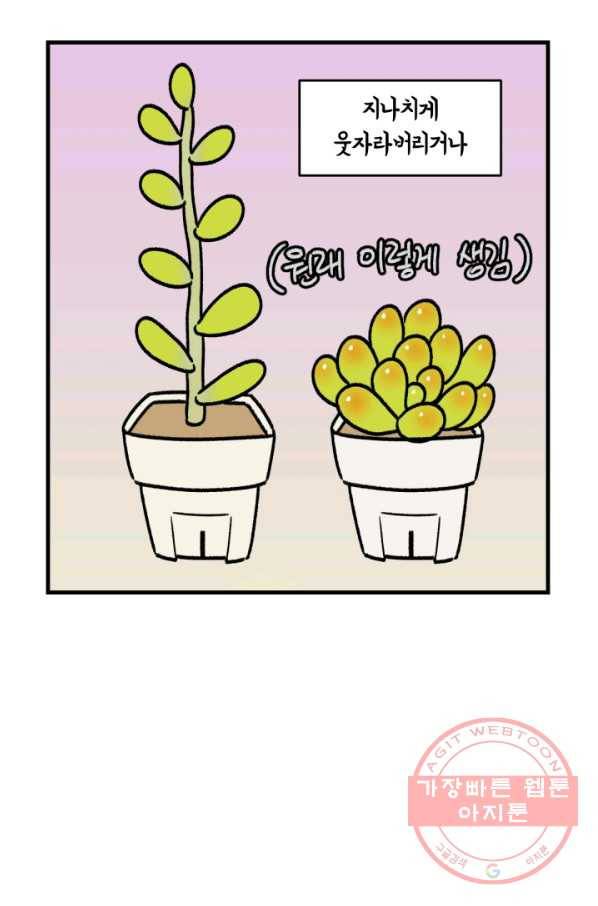 크레이지 가드너 8화 다육이 8
