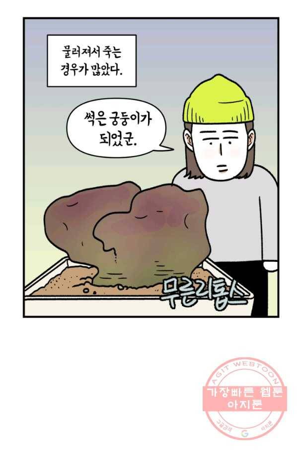 크레이지 가드너 8화 다육이 9