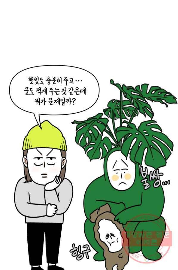 크레이지 가드너 8화 다육이 10