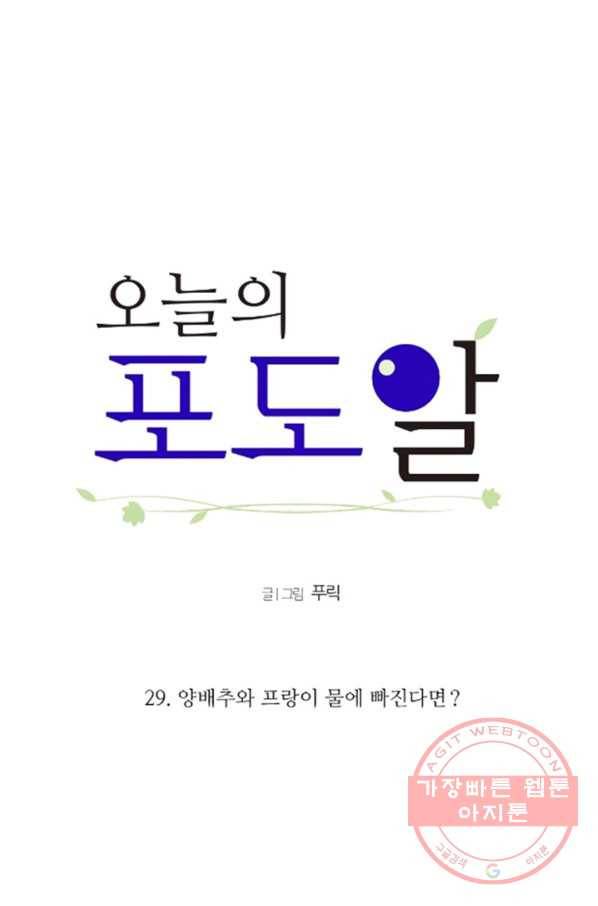 오늘의 포도알 29화 5