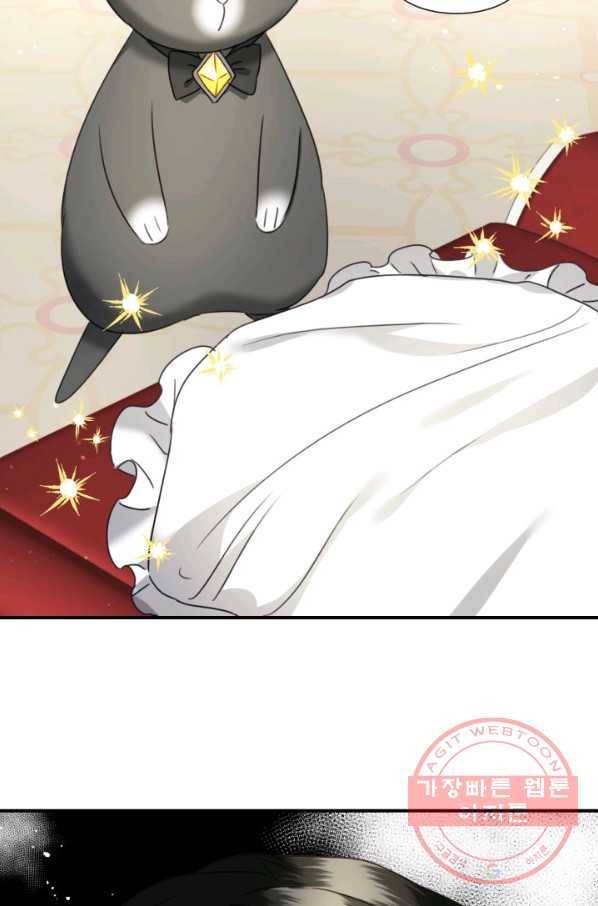 가짜 공녀님의 만렙 토끼 42화 12