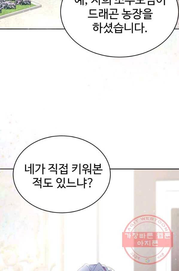 베이비 드래곤 21화 2