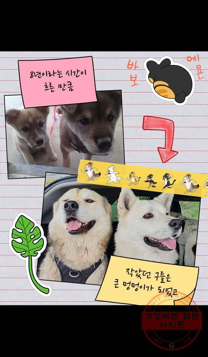 노곤하개 마지막화 11