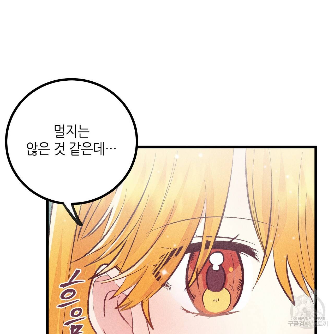 황제의 약혼녀로 산다는 것은 84화 79