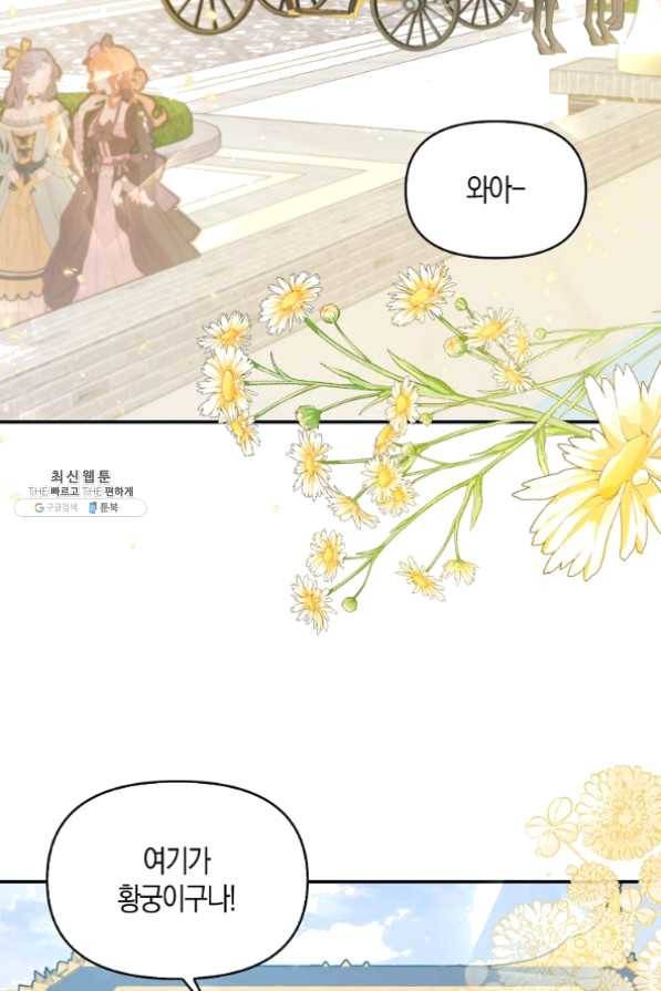 악당 대공님의 귀하디귀한 여동생 48화 8