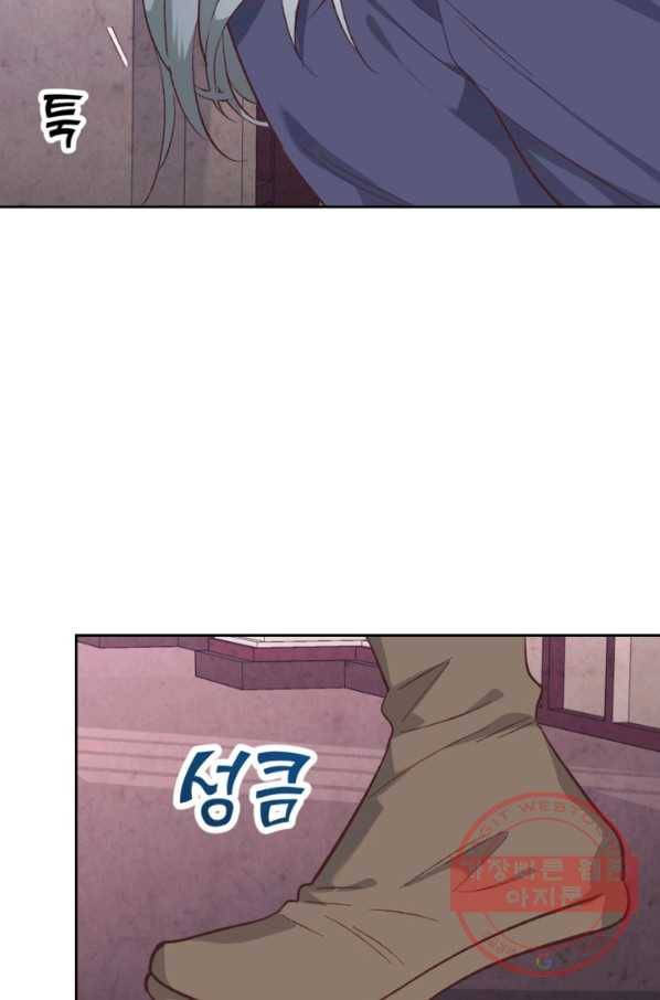 황제와 여기사 126화 14