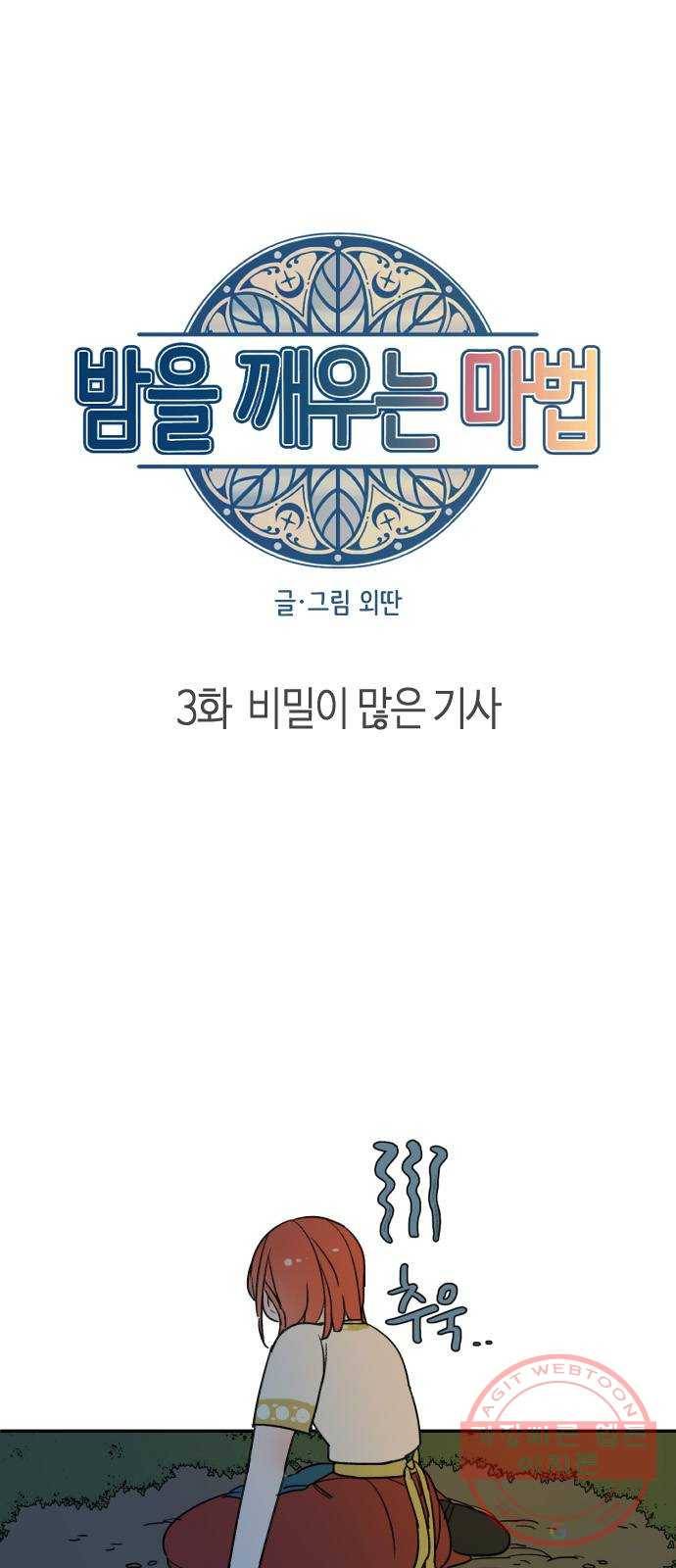 밤을 깨우는 마법 3화 비밀이 많은 기사 5