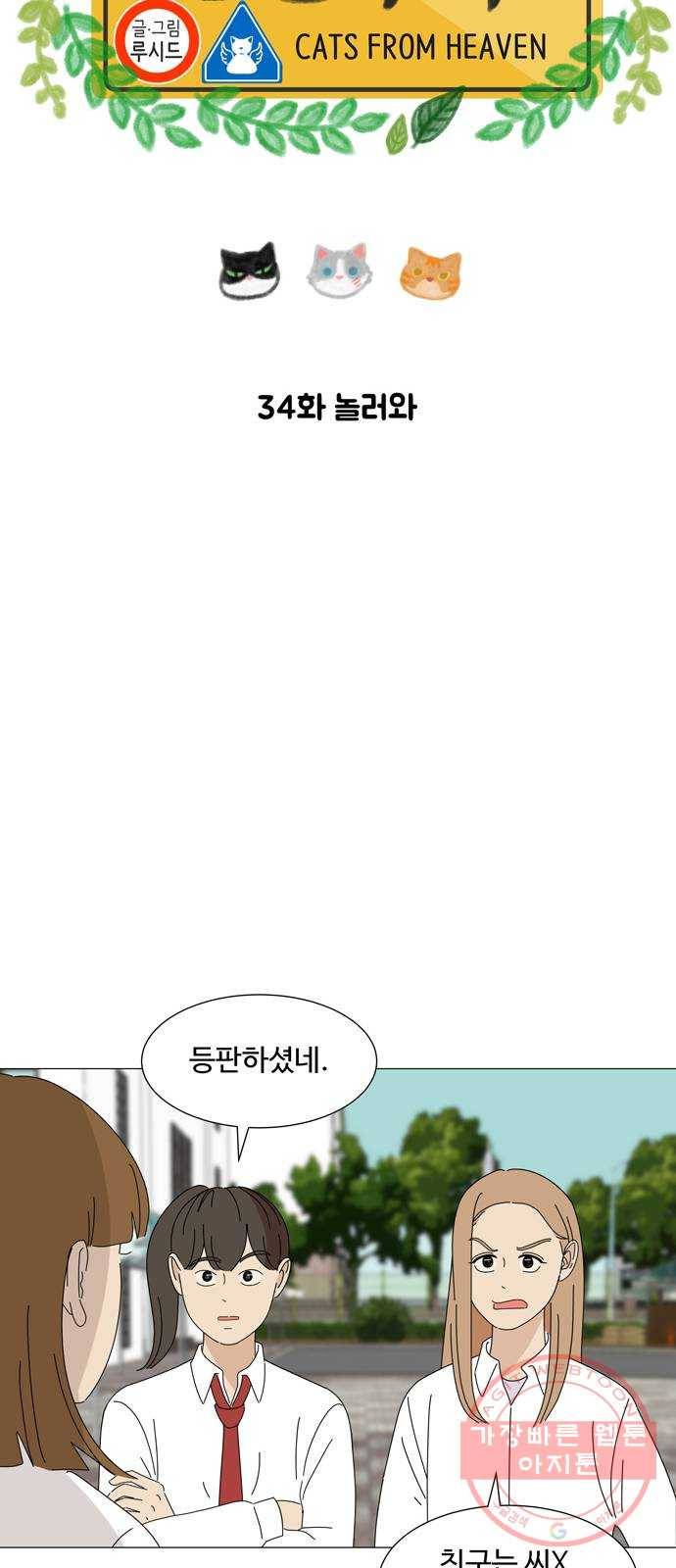 야생천사 보호구역 34화 놀러와 9