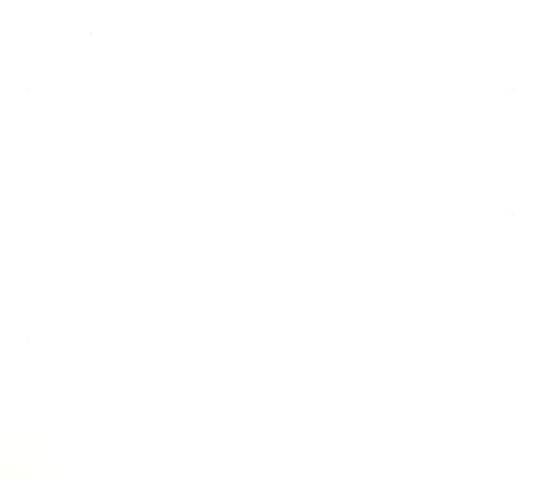 마른 가지에 바람처럼 61화 71