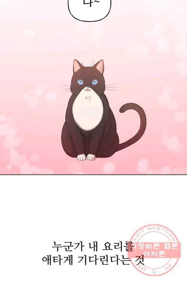우리집 고양이는 베지테리언 수상한 탱고 2