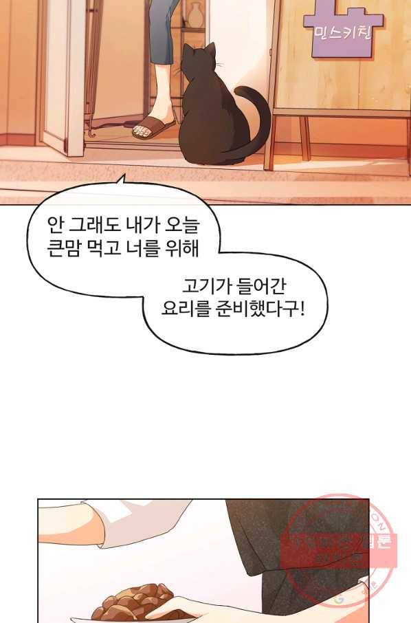 우리집 고양이는 베지테리언 수상한 탱고 4
