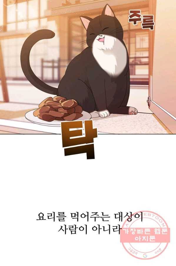우리집 고양이는 베지테리언 수상한 탱고 6