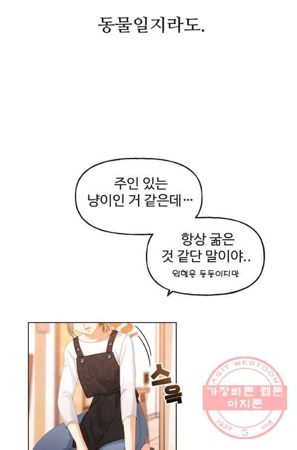 우리집 고양이는 베지테리언 수상한 탱고 7