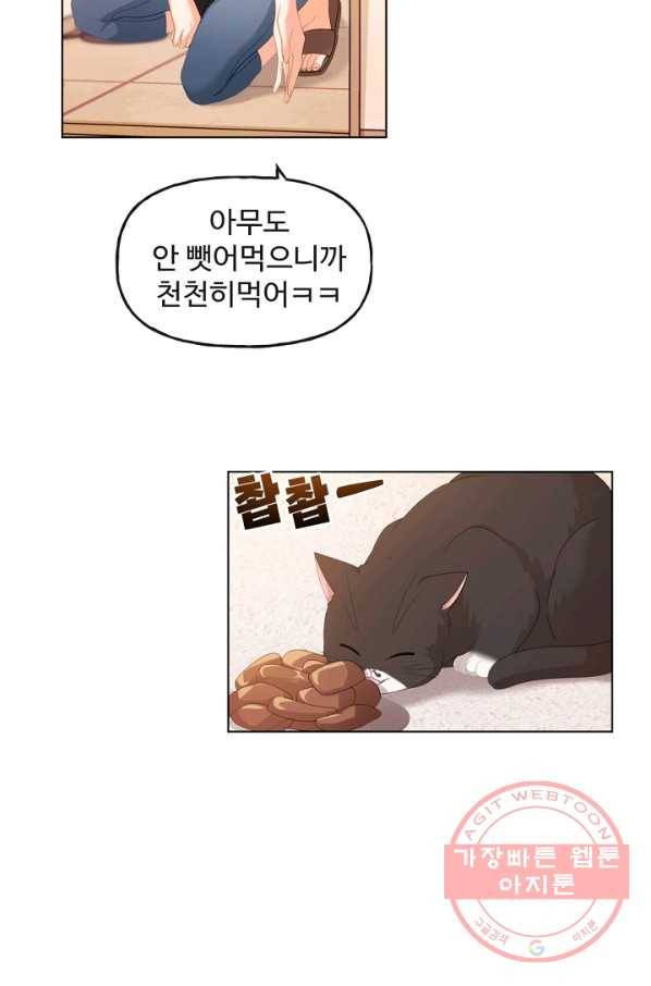 우리집 고양이는 베지테리언 수상한 탱고 8