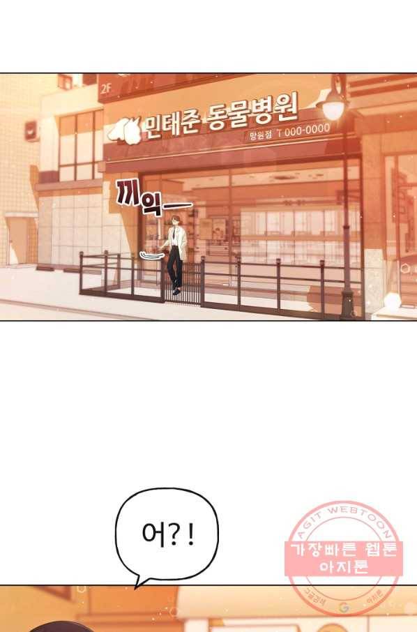 우리집 고양이는 베지테리언 수상한 탱고 12
