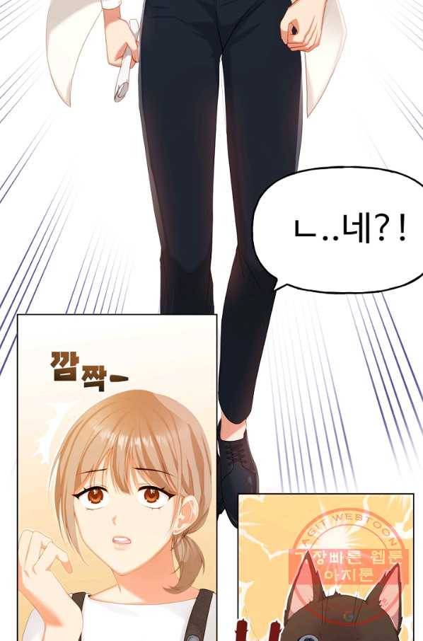 우리집 고양이는 베지테리언 수상한 탱고 17