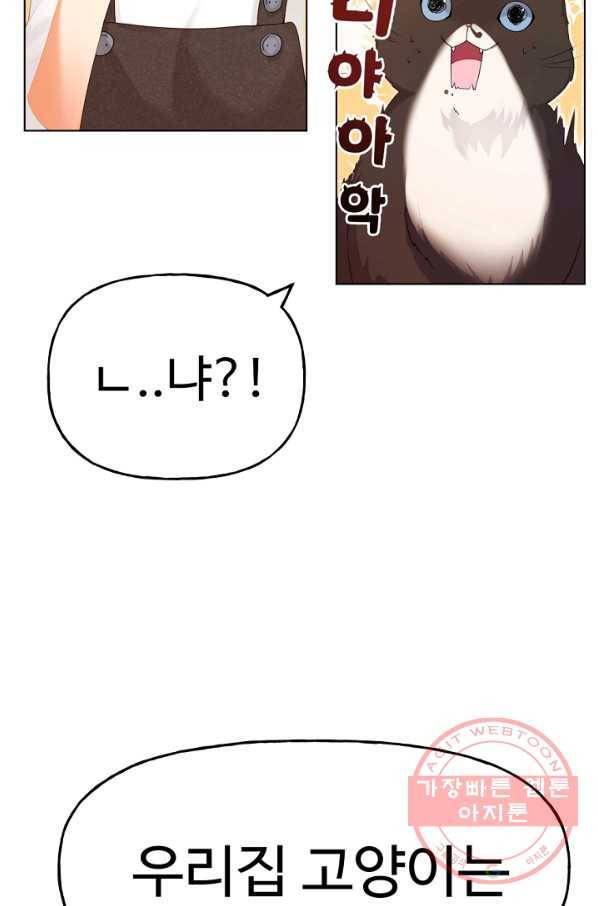 우리집 고양이는 베지테리언 수상한 탱고 18