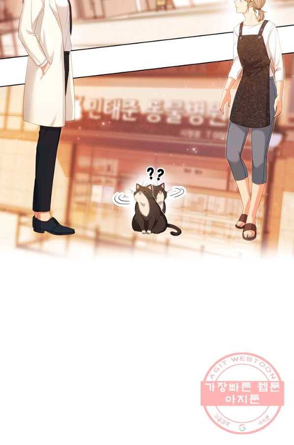 우리집 고양이는 베지테리언 수상한 탱고 22