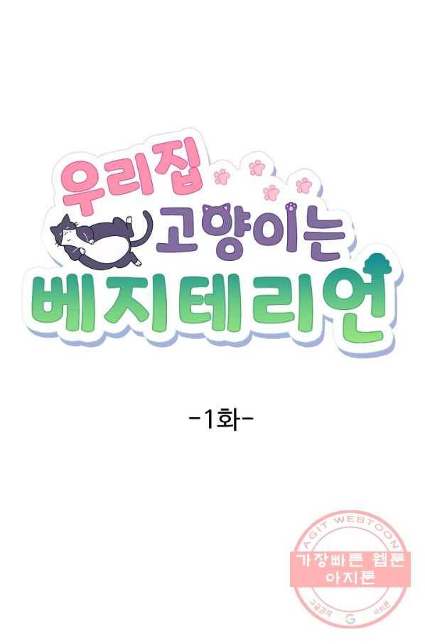 우리집 고양이는 베지테리언 수상한 탱고 23