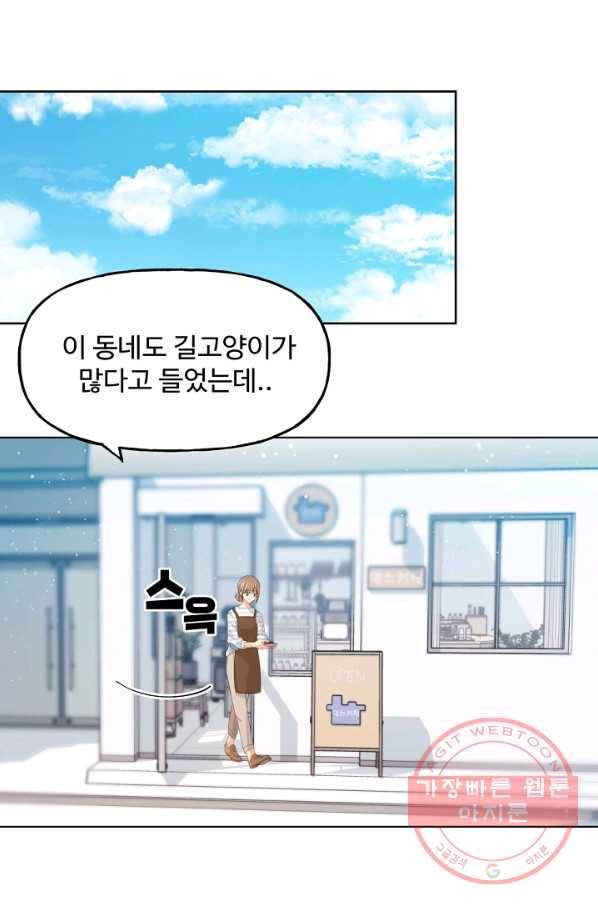 우리집 고양이는 베지테리언 수상한 탱고 54