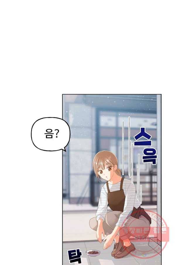 우리집 고양이는 베지테리언 수상한 탱고 55