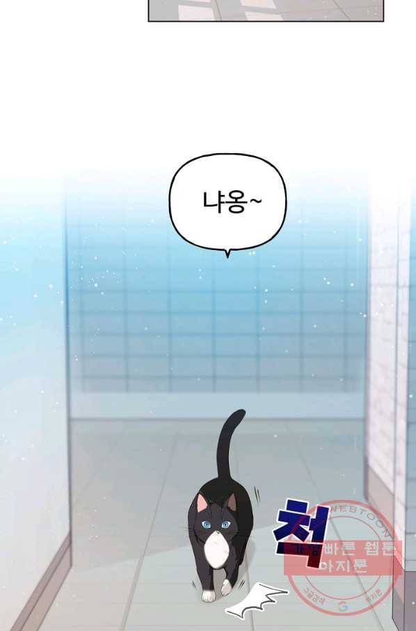 우리집 고양이는 베지테리언 수상한 탱고 56